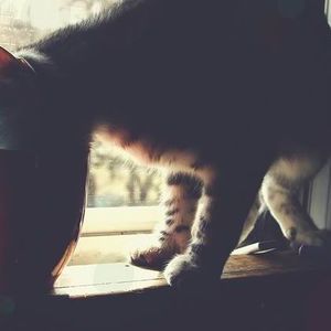 Meet your Posher, Antonia